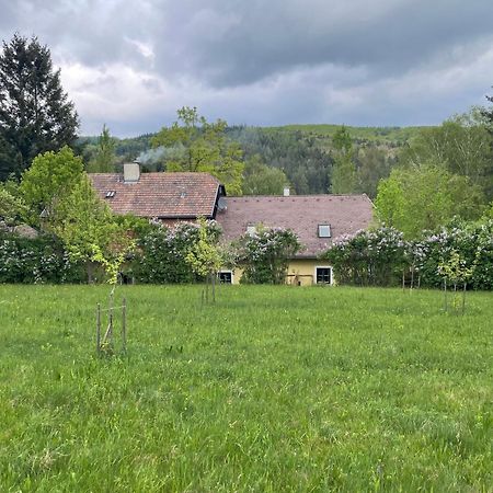 Bed&Breakfast Im Gruenen Nah An Wien Brettwies Экстерьер фото