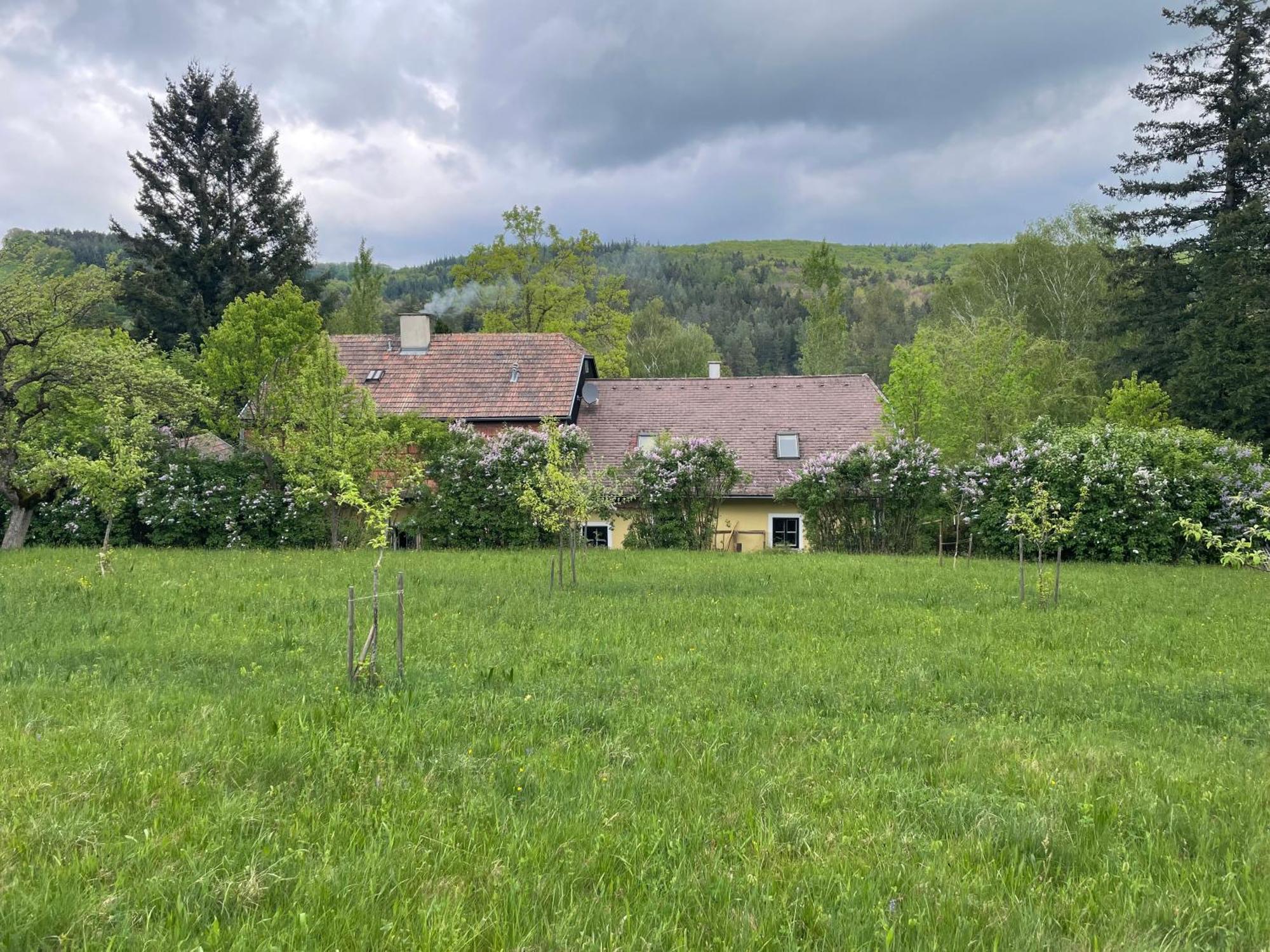 Bed&Breakfast Im Gruenen Nah An Wien Brettwies Экстерьер фото